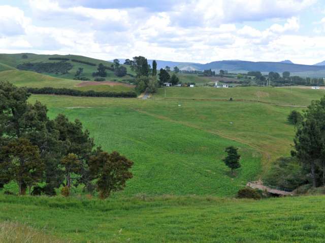 45 Matapan Road Atiamuri_3