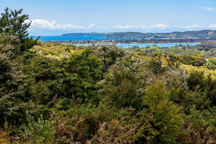 70 Upper Whangateau Road Big Omaha_6