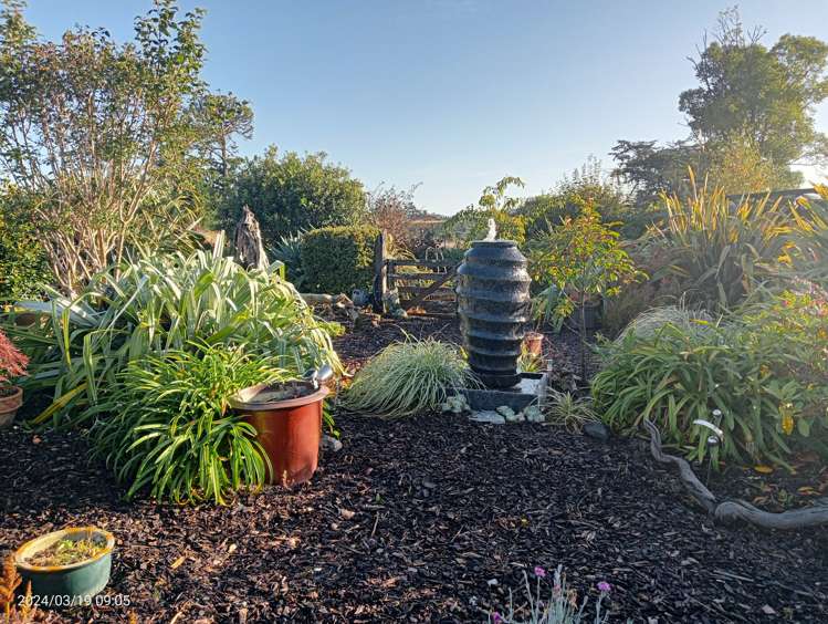 28 Appleby Street Hampden_27