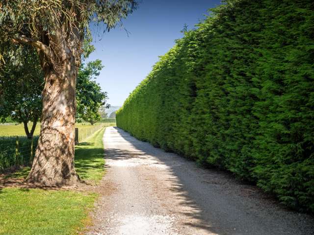 152 Bellam Road Rolleston_1