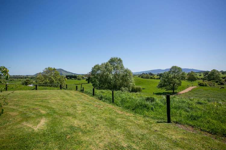 16 Pokuru Road Te Awamutu_22