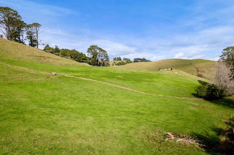 402 Hursthouse Road Tarurutangi_33