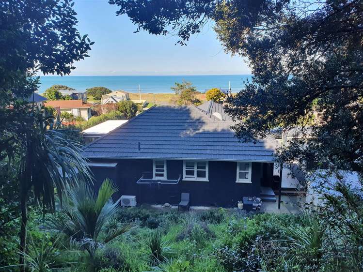 60 Douglas Street Okitu_20