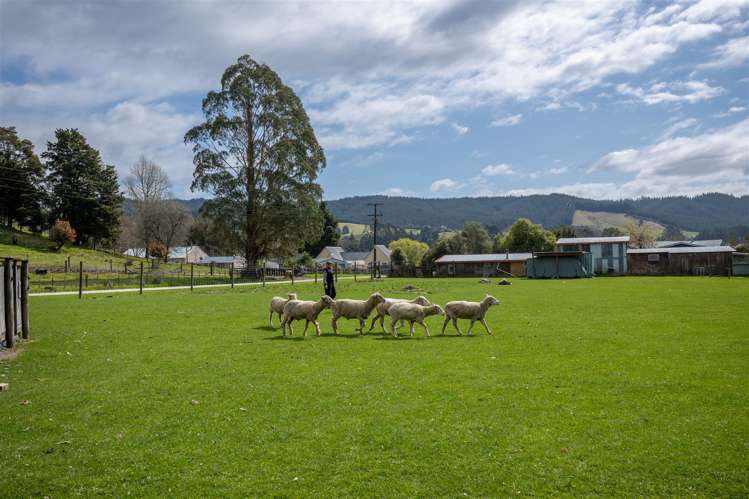 69 Quail Valley Road Wakefield_26