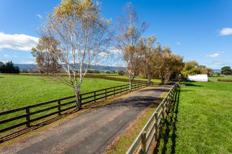 Lot 2/441 Taihoa South Road Matamata_25