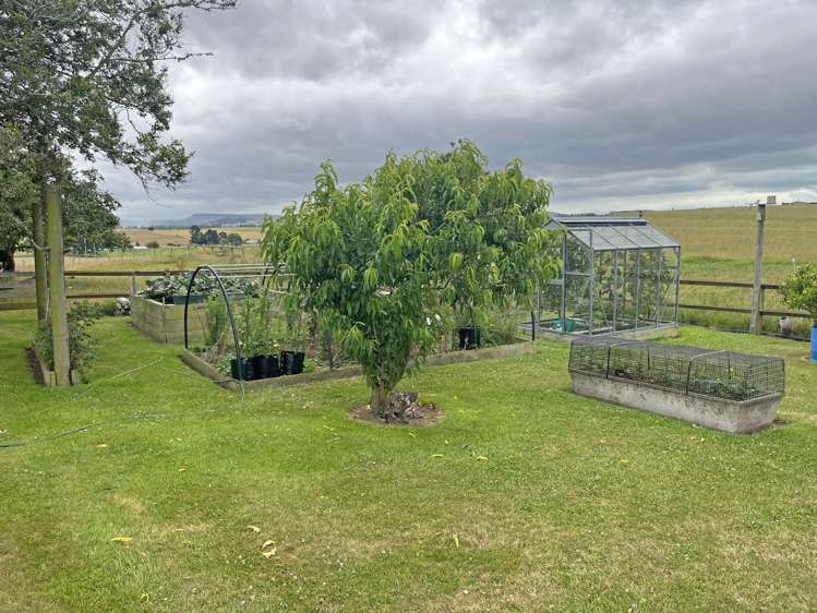 790 Alma-Maheno Road Reidston_15