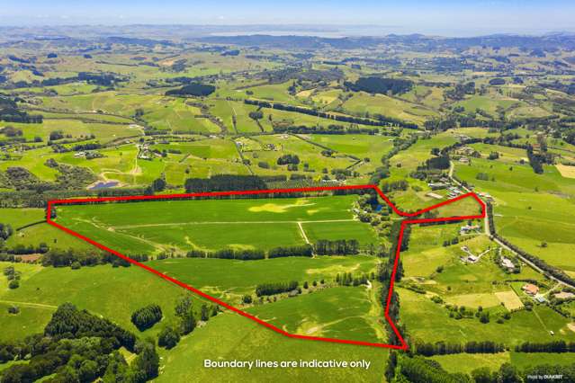 199 Ireland Road Waitoki_3