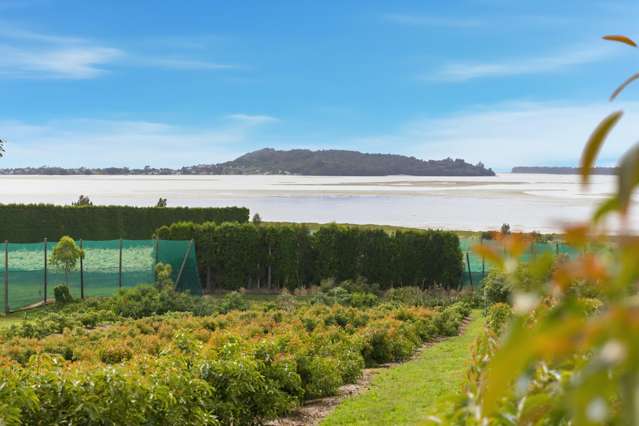 245 Athenree Road Athenree_3