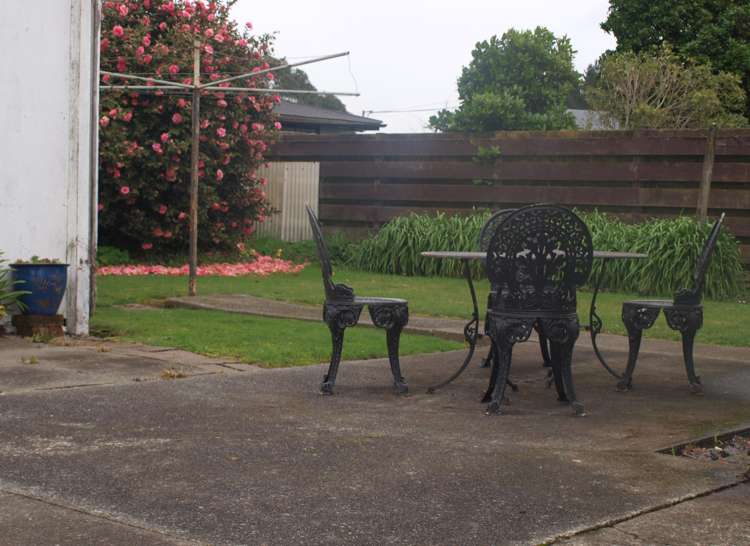 31 Flower Street Bulls_19