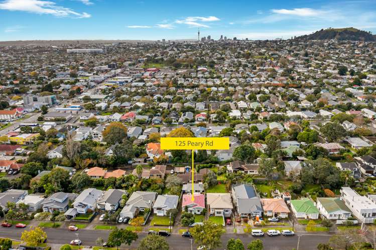 125 Peary Road Mount Eden_17
