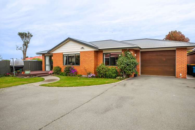 109a Domain Avenue Kensington_25