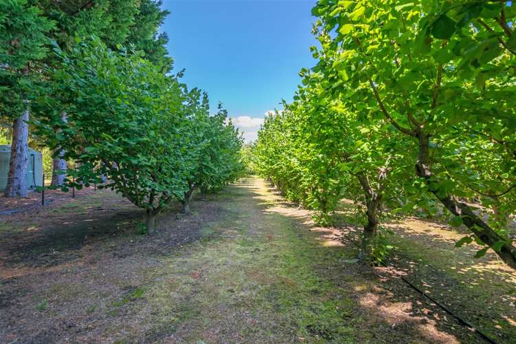 16 Beatrice Street Rarangi_33