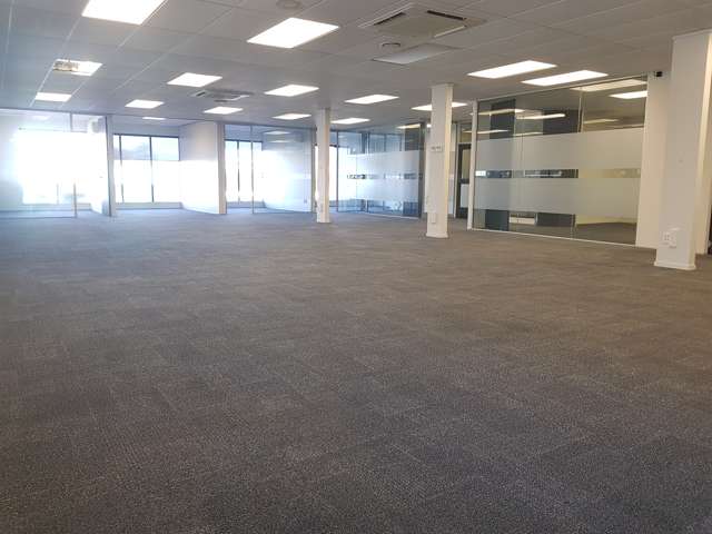 480 Anglesea Street Hamilton Central_2