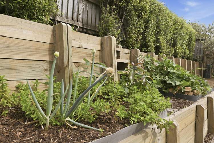 276 Saint Andrews Drive Bethlehem_16