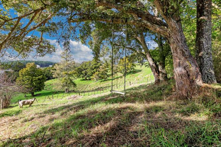 671 Houto Road Titoki_16