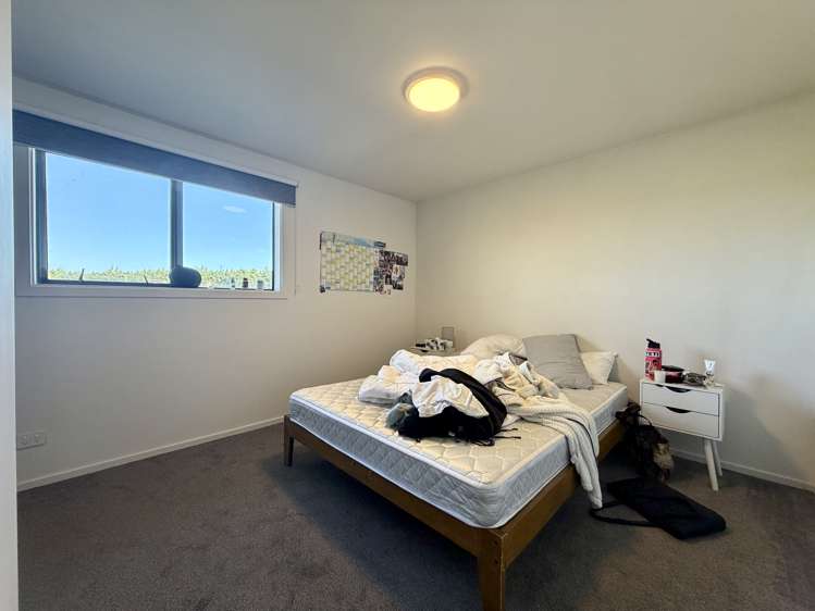 1076 Ellesmere Junction Road Springston_17