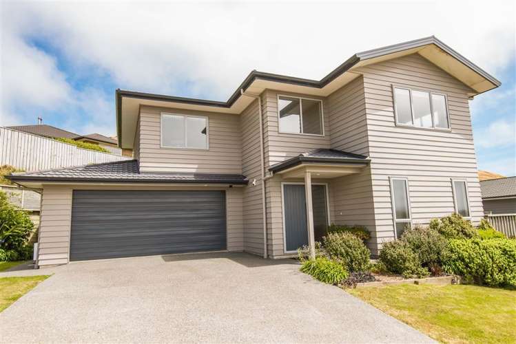 93 Mclintock Street Johnsonville_0