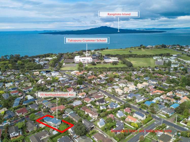 39 Northumberland Avenue Belmont_12