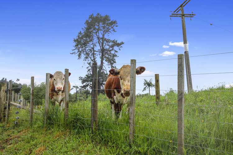 7 Boddie Road Te Kuiti_10