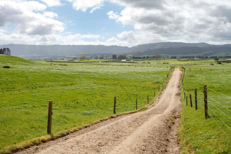 128 Rapurapu Road, Te Poi Matamata_16