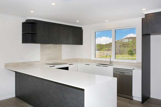 2 Netu Lane Pokeno_2