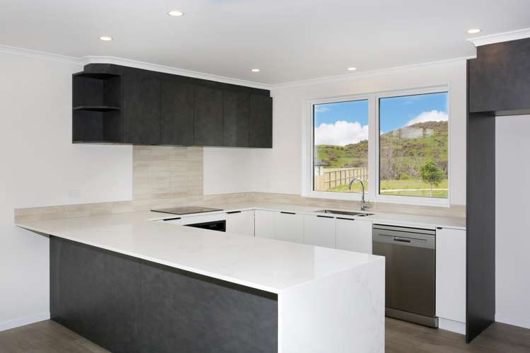 2 Netu Lane Pokeno_2