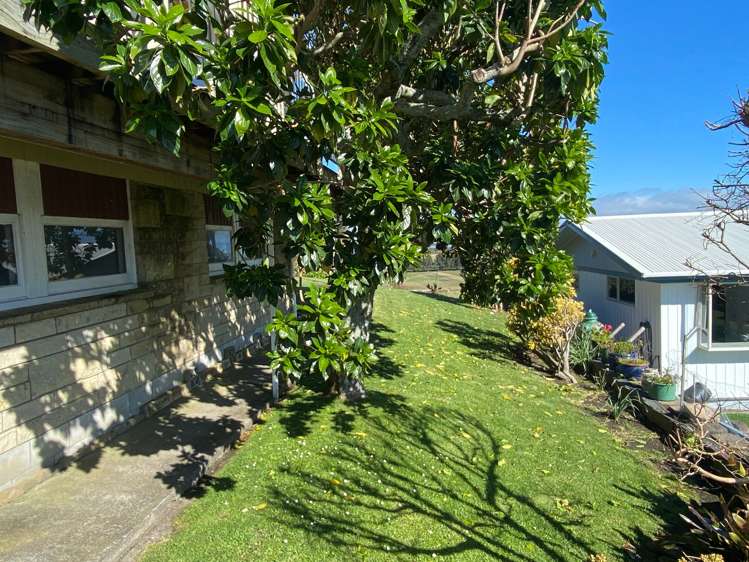 232 Tony Avenue Thames_25