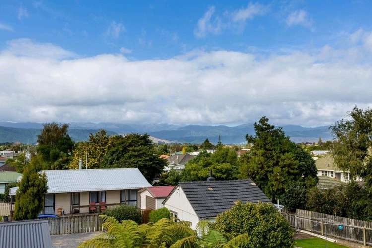 25 Chester Street Levin_24