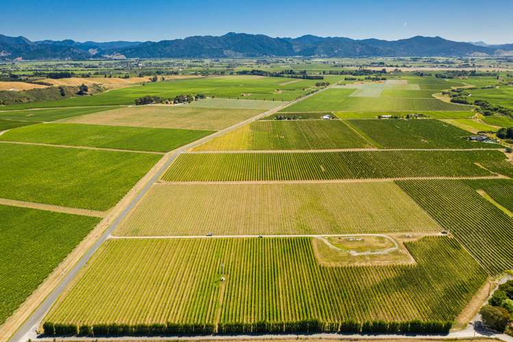 287 Brancott Road Fairhall_1