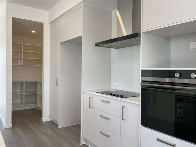 354 Whitehills Road Dairy Flat_2