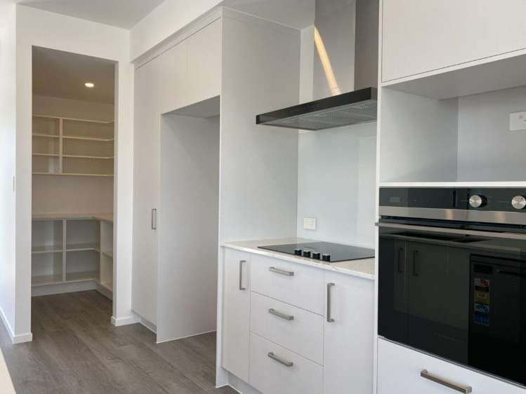 354 Whitehills Road Dairy Flat_2