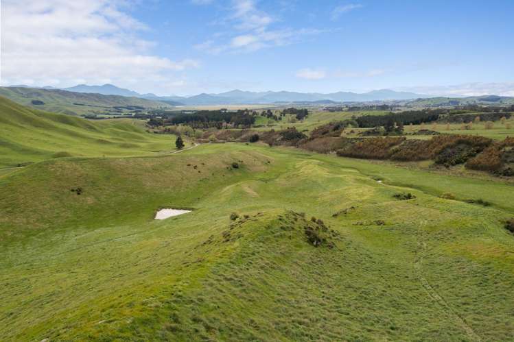 525 Avondale Road Waihopai Valley_5