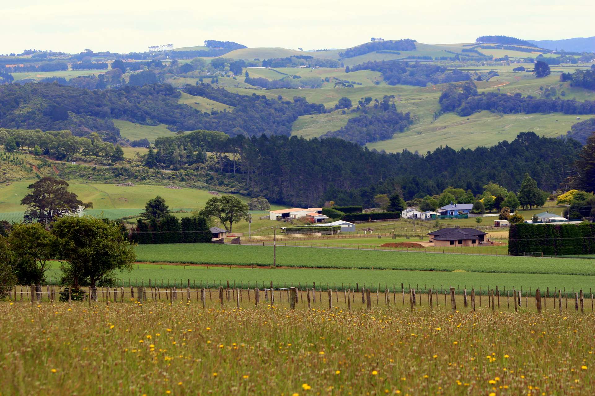 443b Murray Road Pukekawa_0