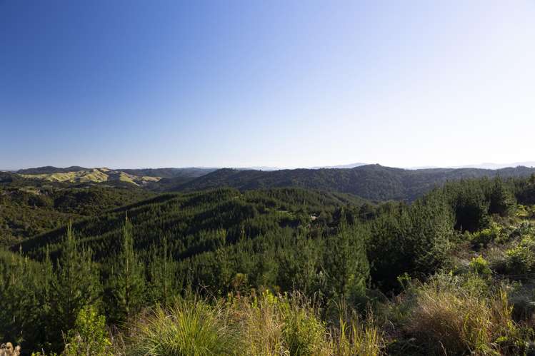 69 Otangaroa Road, Kaeo_12