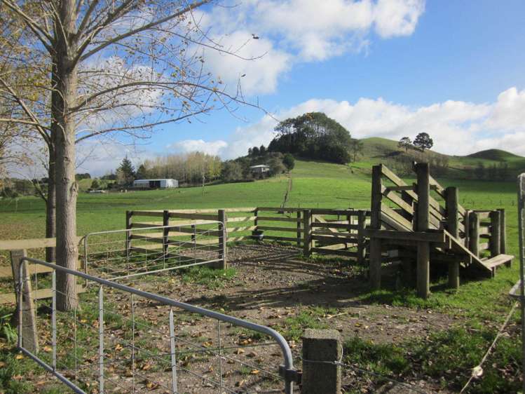 130 Carruth Road Poroti_5