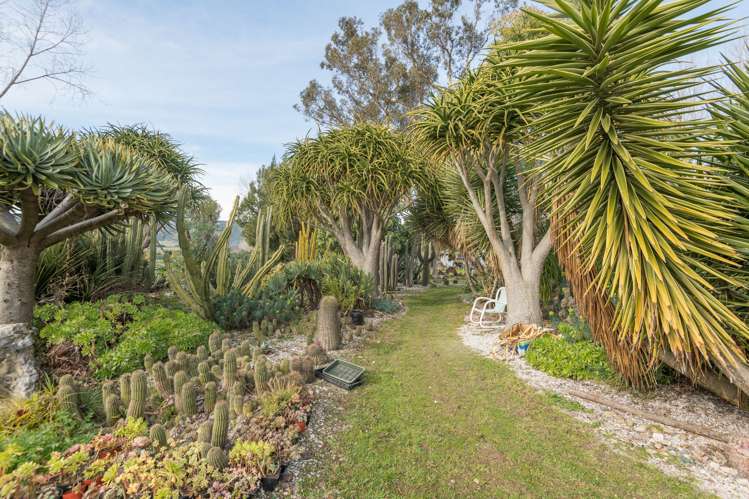 456 Main Road Hope Hope_5