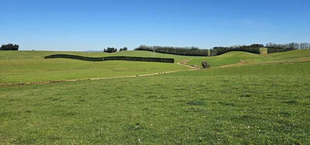 465 Adam Fleming Road Crossans Corner_1