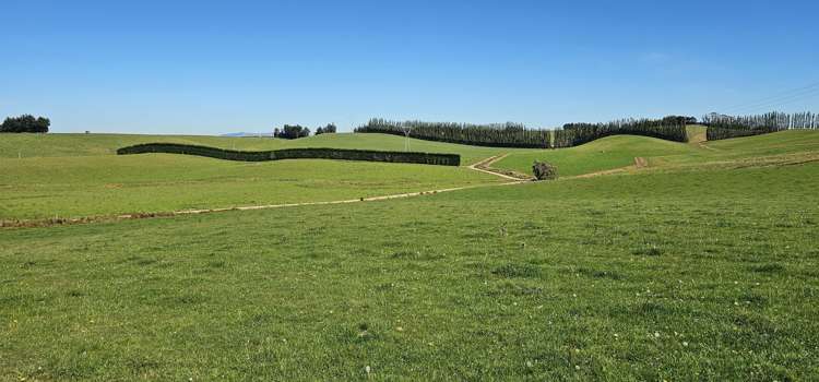 465 Adam Fleming Road Crossans Corner_1