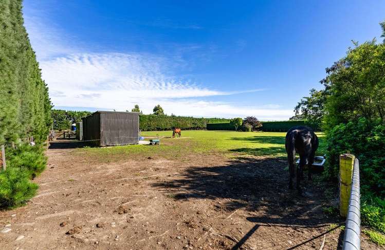 769 Tancreds Road Lincoln_28