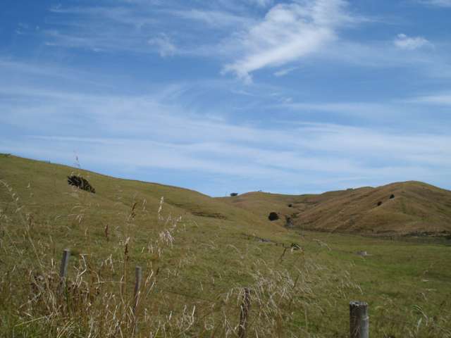 259 Arapohue Road Dargaville Surrounds_4