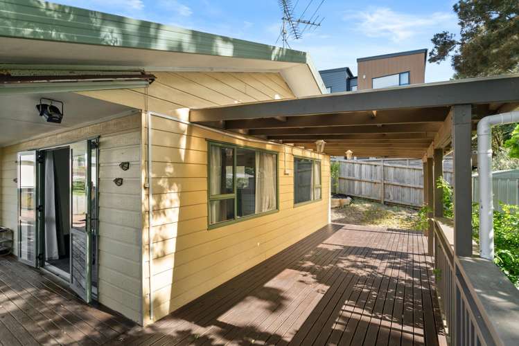 20A Pine Street New Lynn_10