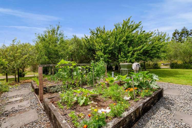 438B Alfred Road Egmont Village_15