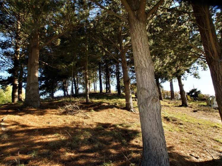 561 Palmerston-Waikouaiti Road Palmerston_2