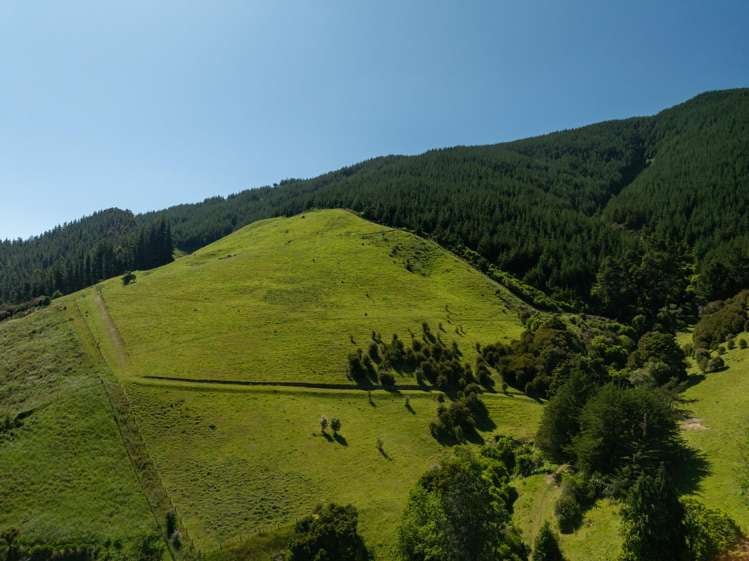 1809 Motueka Valley Highway Ngatimoti_9