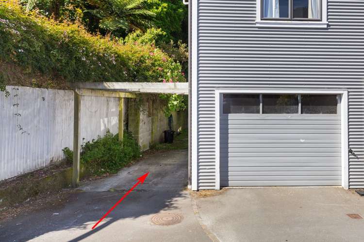 168 Aro Street Aro Valley_16