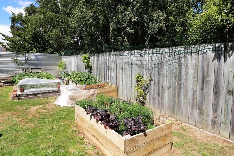 75 Frederick Street Carterton_16