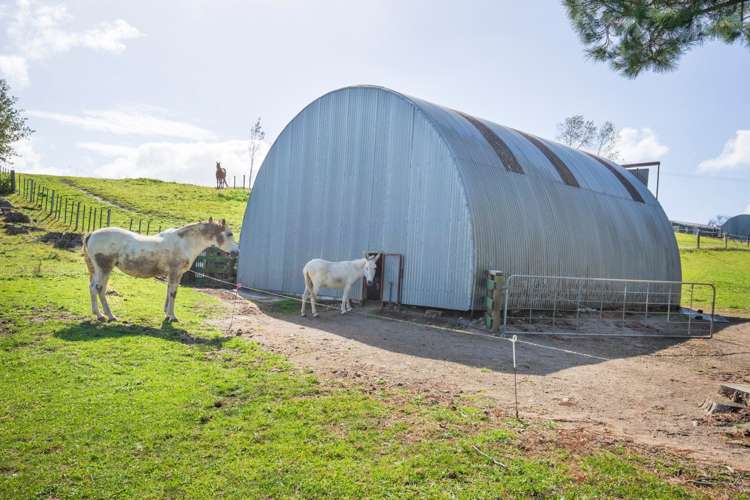 49 Brewster Road Pukekawa_8