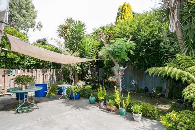 51b Mcgrath Street Napier South_2