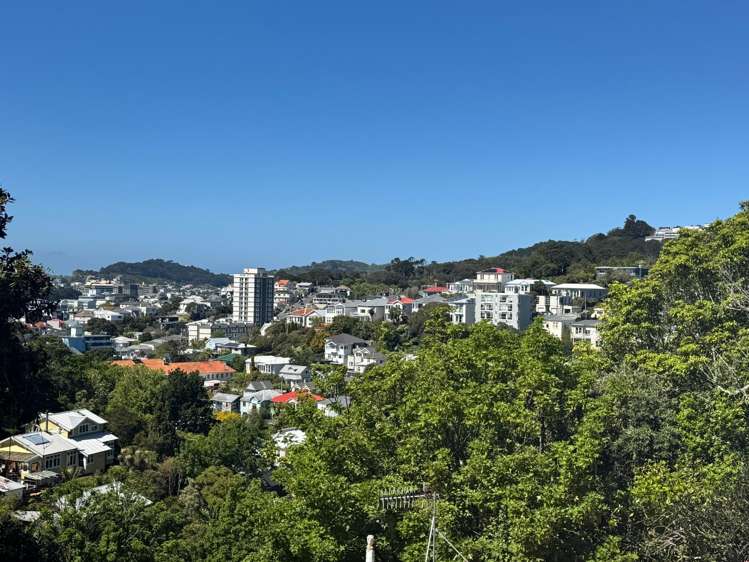  A/31 Devon Street Aro Valley_15