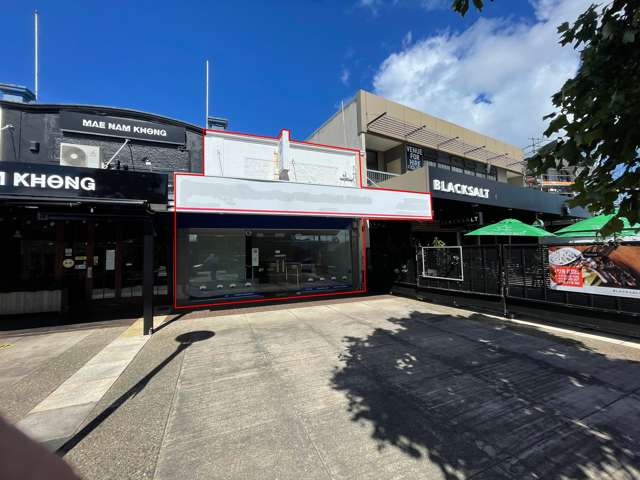 6 Todd Plaza New Lynn_1